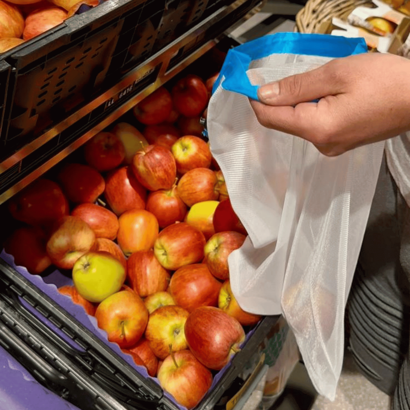 Brifresh-Bags  –  Für den plastikfreien Einkauf